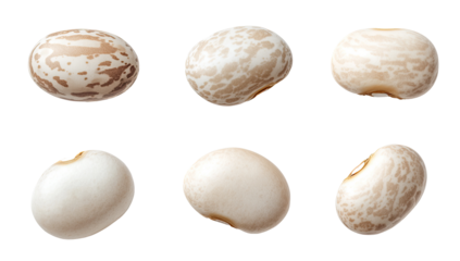 Six speckled beans, various shades of tan and white, arranged in a grid
