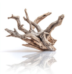 Fototapeta premium A photograph of beautiful driftwood on a white background, product photography, studio lighting. 