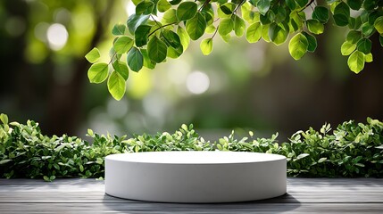 Outdoor natural scene with white circular podium at bottom center, empty surface under blurred green foliage and soft sunlight bokeh, 75% blank space for product mockup presentation
