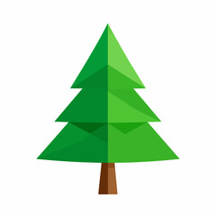Fototapeta premium green christmas tree