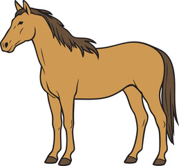カラーのリアルな馬のベクターイラスト素材