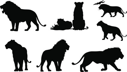 Lion, silhouette, animal, wildlife, predator, majestic, jungle, safari, feline, nature, resting, walking, sitting, lying, group, mane, tail, black, illustration, posture