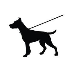 Silhouette of a sleek black dog on a leash standing alertly, dog pulling leash silhouette vector illustration