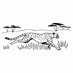  Running Cheetah Illustration