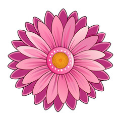 Pink Daisy Flower