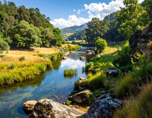 Serene River Valley Landscape Under Sunny Skies