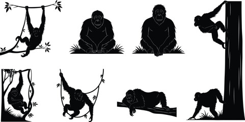 Orangutan, silhouette, climbing, hanging, sitting, swinging, resting, black and white, tree, jungle, nature, animal, primate, vector, graphic, behavior, posture, wildlife, arboreal, illustration © Moyuri
