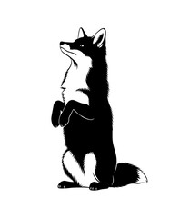  A silhouette of a fox standing on its hind legs.