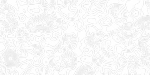 Minimal white line geometric grid outline curve counter map and wavy topography relief discovery area white, black line texture background.	
