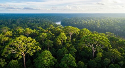 Fototapeta premium Vast, vibrant rainforest canopy stretches to the horizon with a winding river reflecting the sky