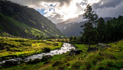 Mountain valley stream in sunlight