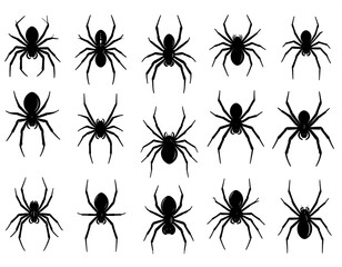 Various spider silhouettes for graphic design