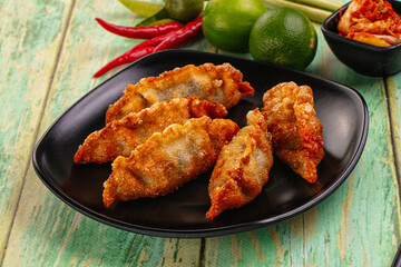 Asian fried stuffed dumplings gyoza