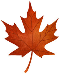 Watercolor autumn leaves clipart