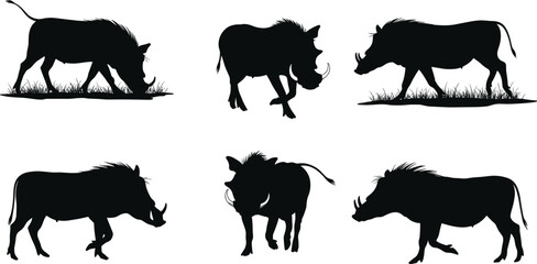 Warthog silhouettes, grazing warthog, walking warthog, tusked poses, African wildlife, black animal shapes, grass elements, nature illustration, vector graphic, wild pig