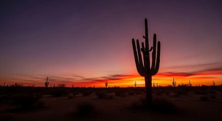 A majestic saguaro cactus stands silhouetted against a breathtaking desert sunset, painting the sky with vibrant purple, orange, and red hues. Serene Southwest beauty