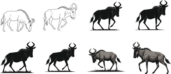wildebeest, sketch, silhouette, shading, drawing, animal, progression, illustration, realistic, art, anatomy, texture, fur, wildlife, stages, rendering, educational, development, pose, transformation