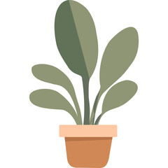 Potted Green Plant
