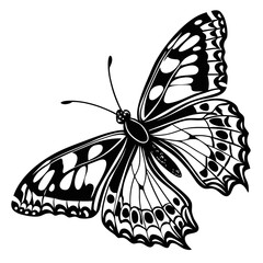Black butterfly silhouette vector illustration