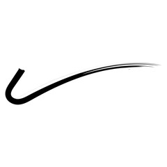 Fototapeta premium Hand Drawn Brush Line