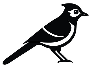 blue jay vector icon in bold style on black color and white background.