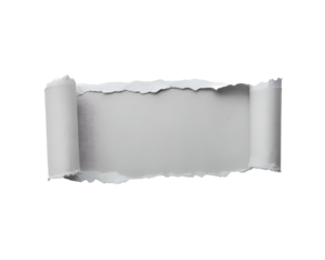 Torn paper with curled edges and visible texture isolated on transparent background