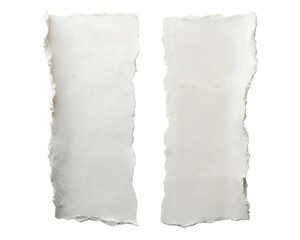 Two torn paper pieces isolated on transparent background