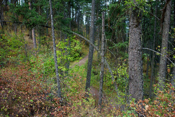 Old Hwy 2 Trail