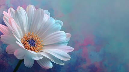 White Daisy Flower with Pastel Blue and Pink Ink. Creative Abstract Spring Nature for a Summer Bloom Concept.