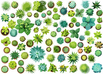 Top of view architectural variety of trees vector illustration collection	
