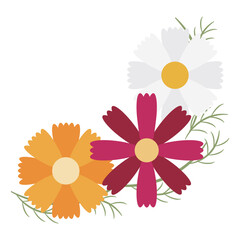 3色のコスモスの花のコーナー素材・右下