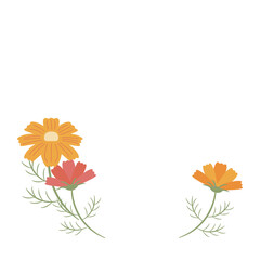 2色のラフなコスモスな花の挿絵