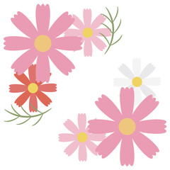 コスモスの花の挿絵