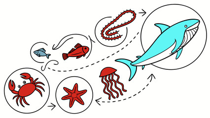 Ocean Food Chain Vector Icon Set – Flat Style Plankton, Small Fish, Bigger Fish, Shark, Whale, Educational Marine Life Stickers for Kids Learning and Infographics