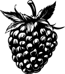 blackberry silhouette vector illustration
