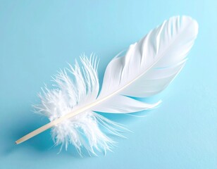 Obraz premium A single delicate white feather resting on a soft blue background.