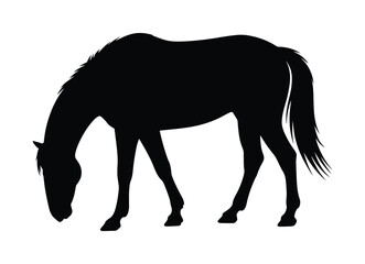 Obraz premium Silhouette of a horse grazing in a field with its head down