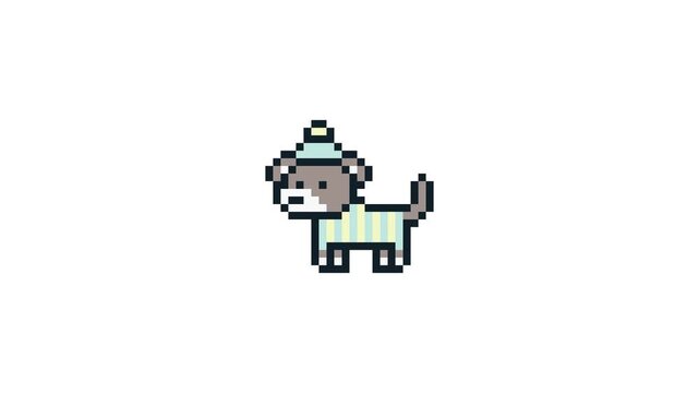 8-bit pixel art schnauzer dog in a winter cloth idle. looped animation 4k 30fps 