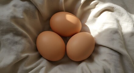 Three brown eggs in cloth