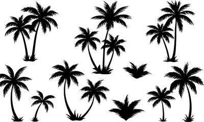 Palm Tree Silhouette Set Minimal Tropical Vector illustration Icons on White, t-shirt design elements, Silhouette tree, easily editable.