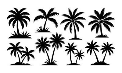 Fototapeta premium Palm Tree Silhouette Set Minimal Tropical Vector illustration Icons on White, t-shirt design elements, Silhouette tree, easily editable.