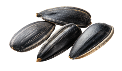 Close-up of sunflower seeds (1)