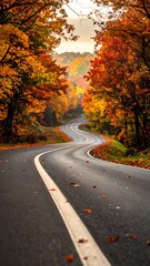 Fototapeta premium Winding asphalt road through vibrant autumn foliage