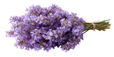 A bunch of dried lavender blossoms