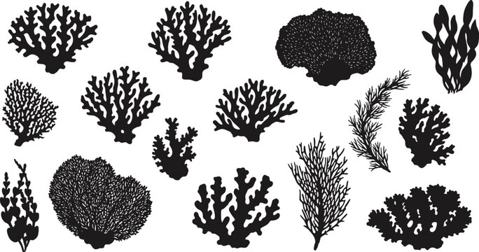 Black silhouette vector illustration of different coral reef and seaweed plant shapes, marine underwater ocean flora collection, aquatic ecosystem decorative elements set