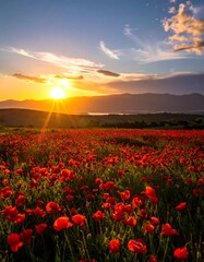 Vibrant sunset over a vast poppy field, mountains in the distance