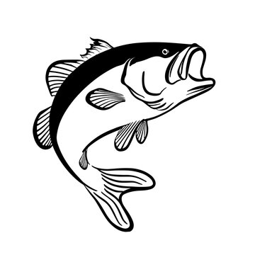 black and white bass fish jumping clip art preview