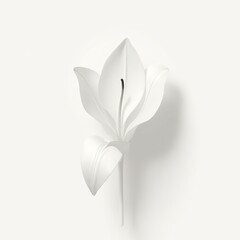 white flower vector illustration
