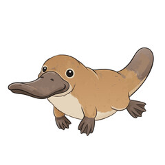 Cartoon Platypus Illustration 