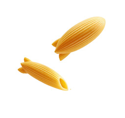 Two pieces of pasta, oblong shape, ribbed texture